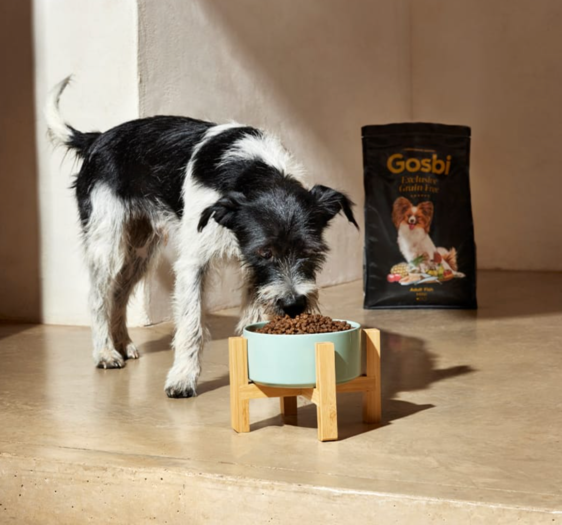 Gosbi | Exclusive Grain Free Dog Adult Toy Fish