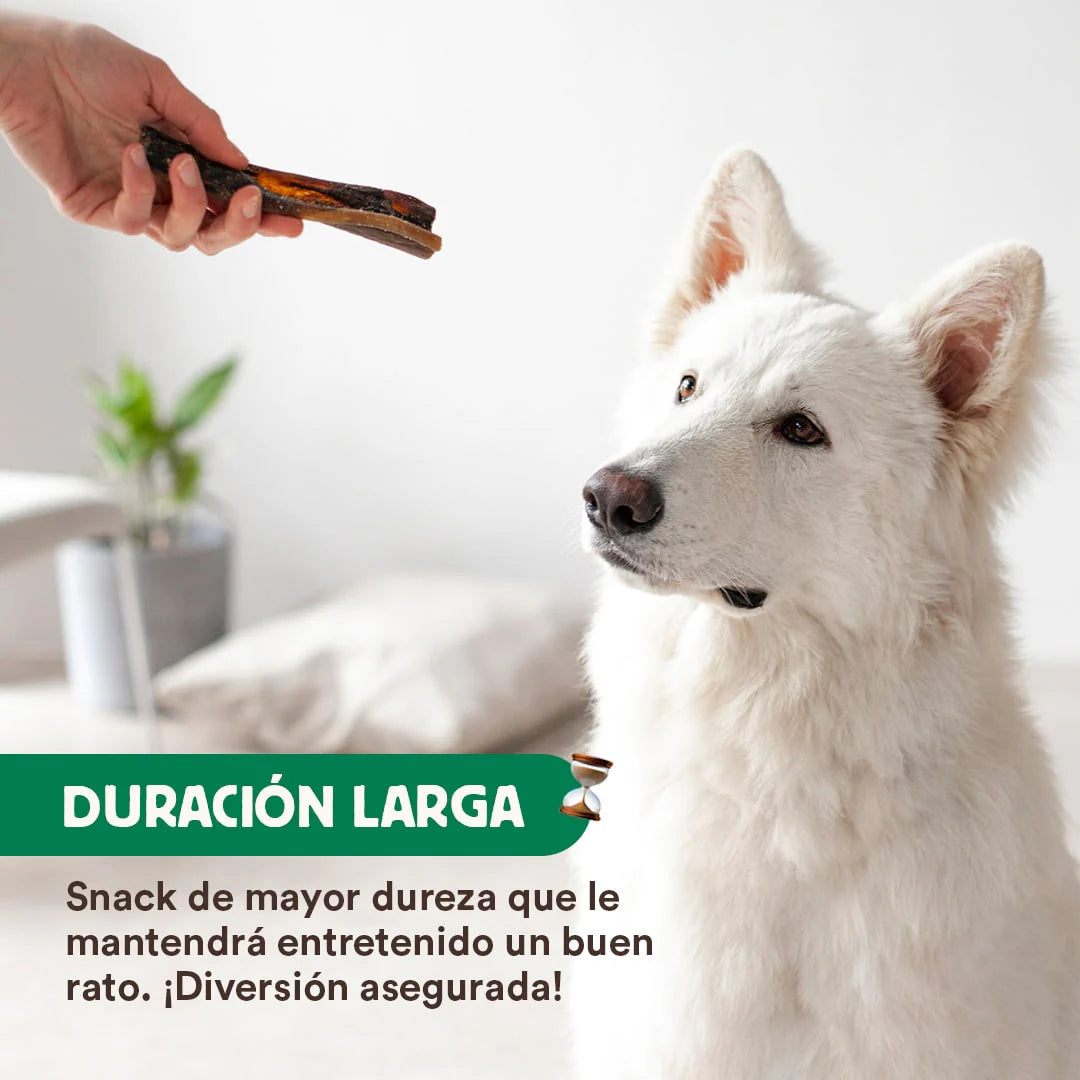 Caravaca de camello - Wild Balance