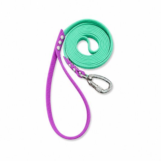 Correa para perros mini con asa - 2 colores