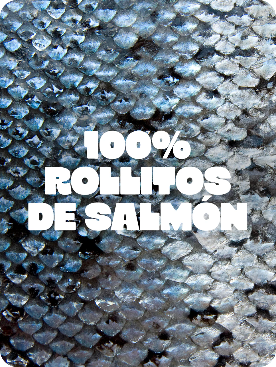 Rollitos de salmón