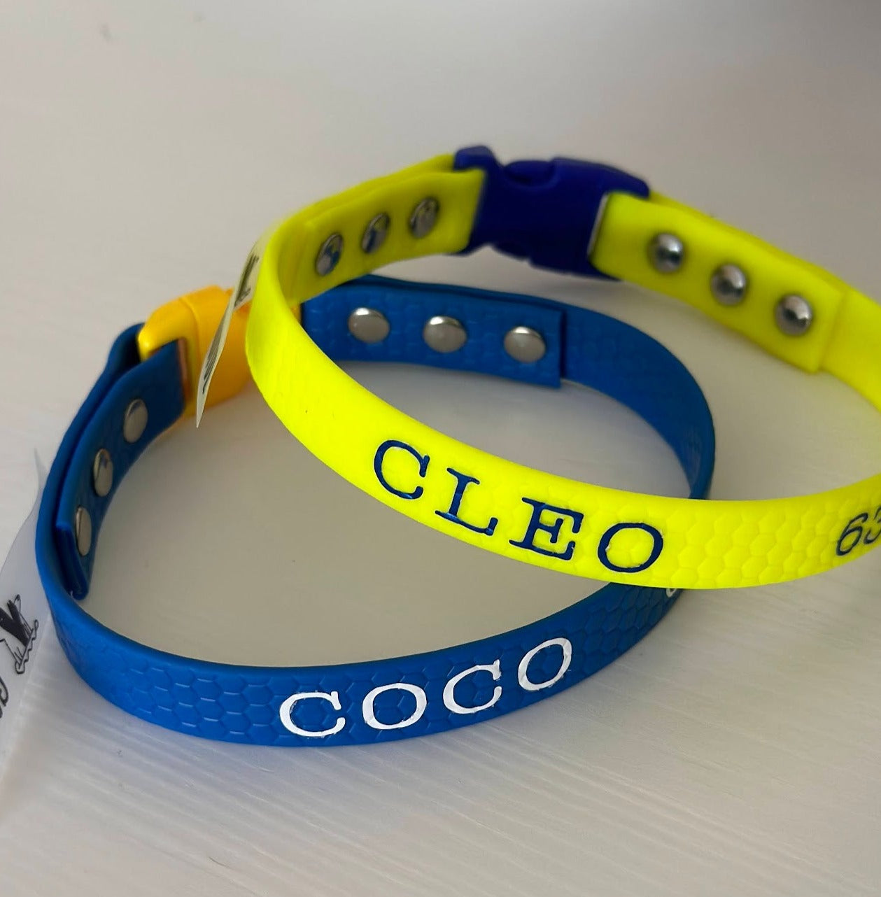 Collares identificativos (ideales para GPS o chapa identificativa)