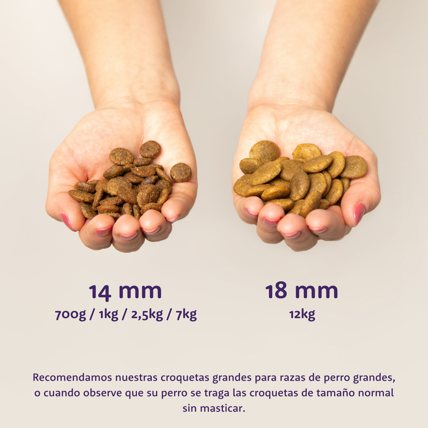 Edgard Cooper - Salmón Noruego - Pienso sin cereales para perros adultos