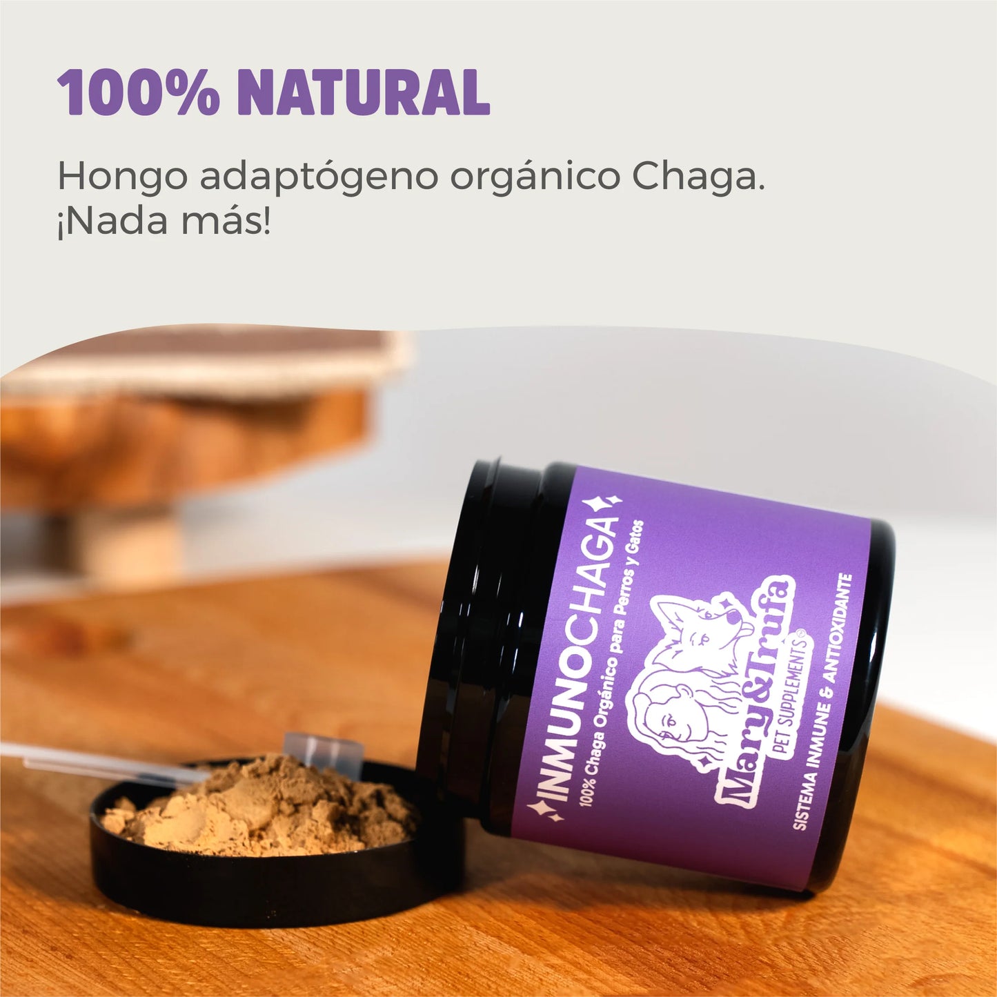 Mary&Trufa - InmunoChaga 75gr | Inmunomodulador y antioxidante | Salud de articulaciones, piel y digestión