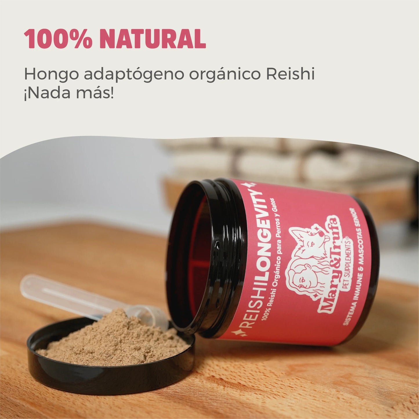 Mary&Trufa - Reishi Longevity 75 g. Regula y Refuerza el Sistema Inmune. Apoyo peludos senior