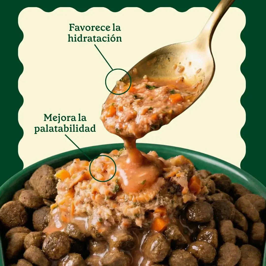 Topper de Salmón y Verduras 85g - Salsas Gourmet Wild Balance