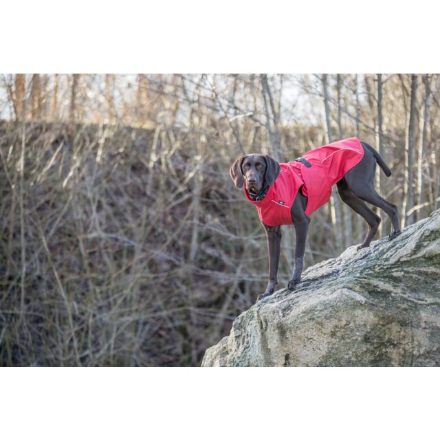 Impermeable para Perros