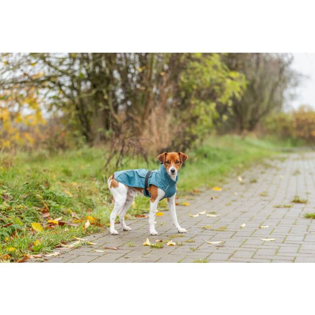 Impermeable para Perros