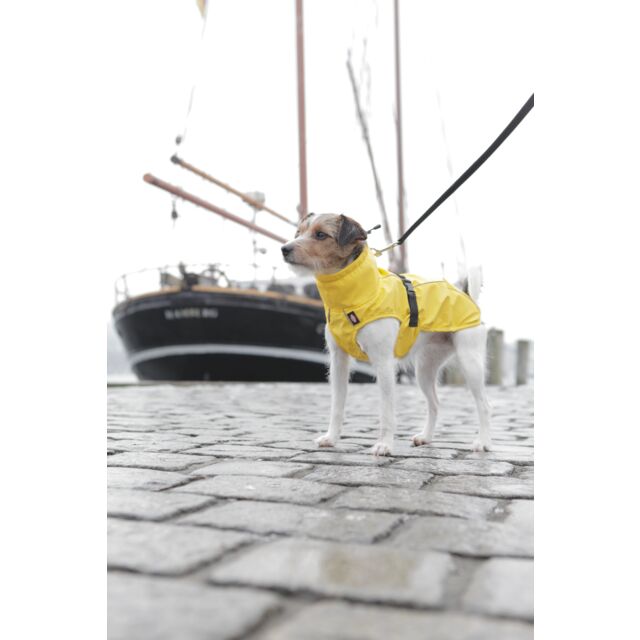 Impermeable para Perros