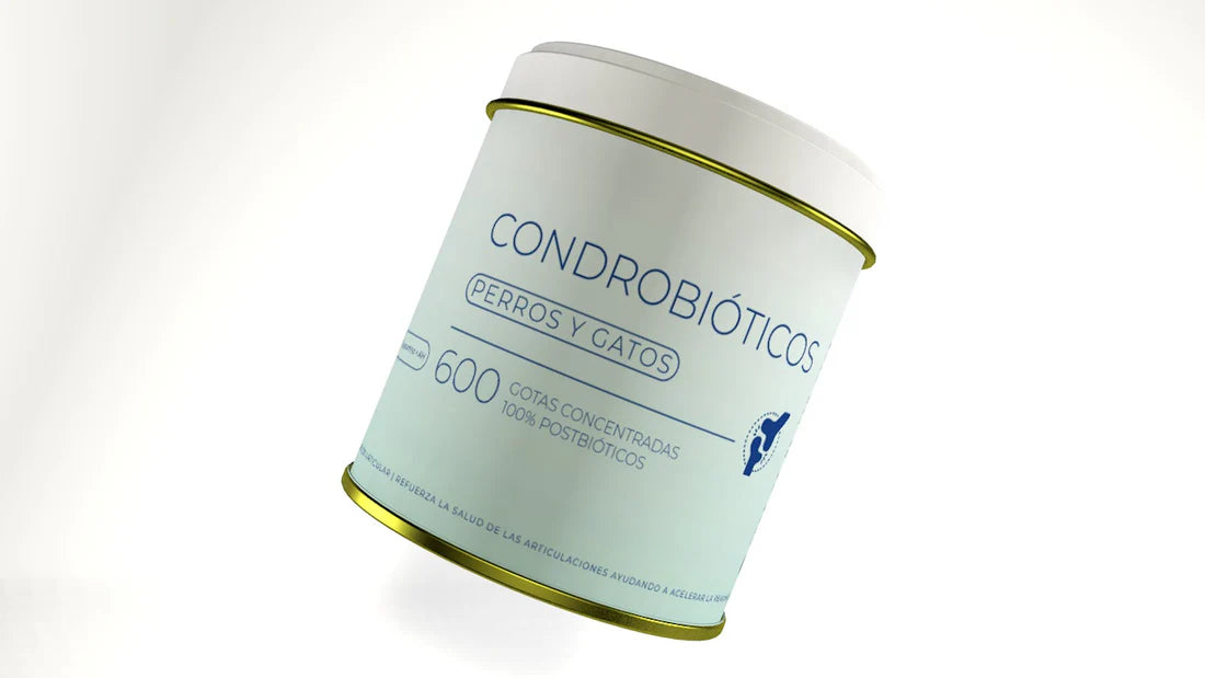 Condrobióticos 600 Gotas | 30ml para Perros y Gatos | PETBIOTICOS