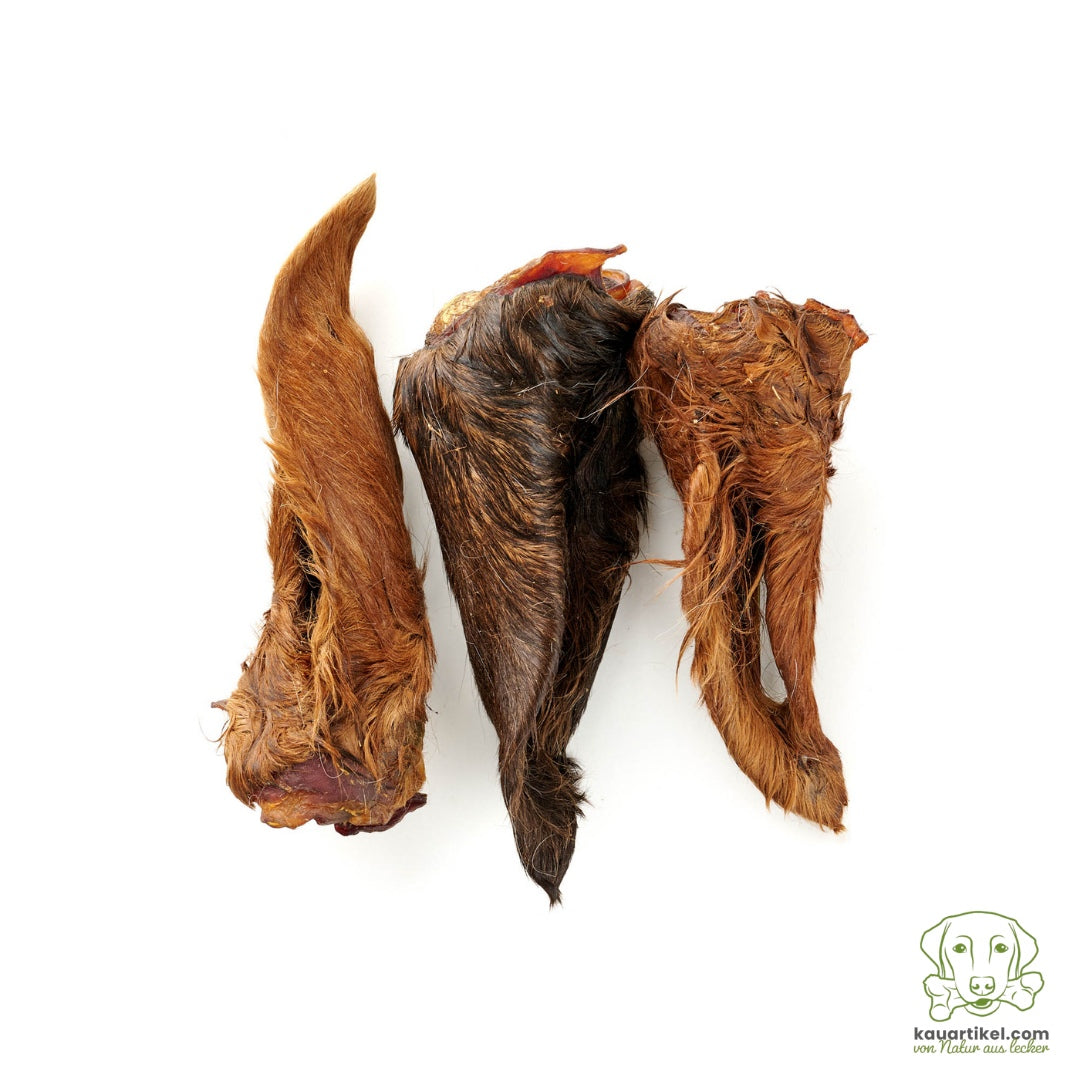 Oreja de caballo con pelo