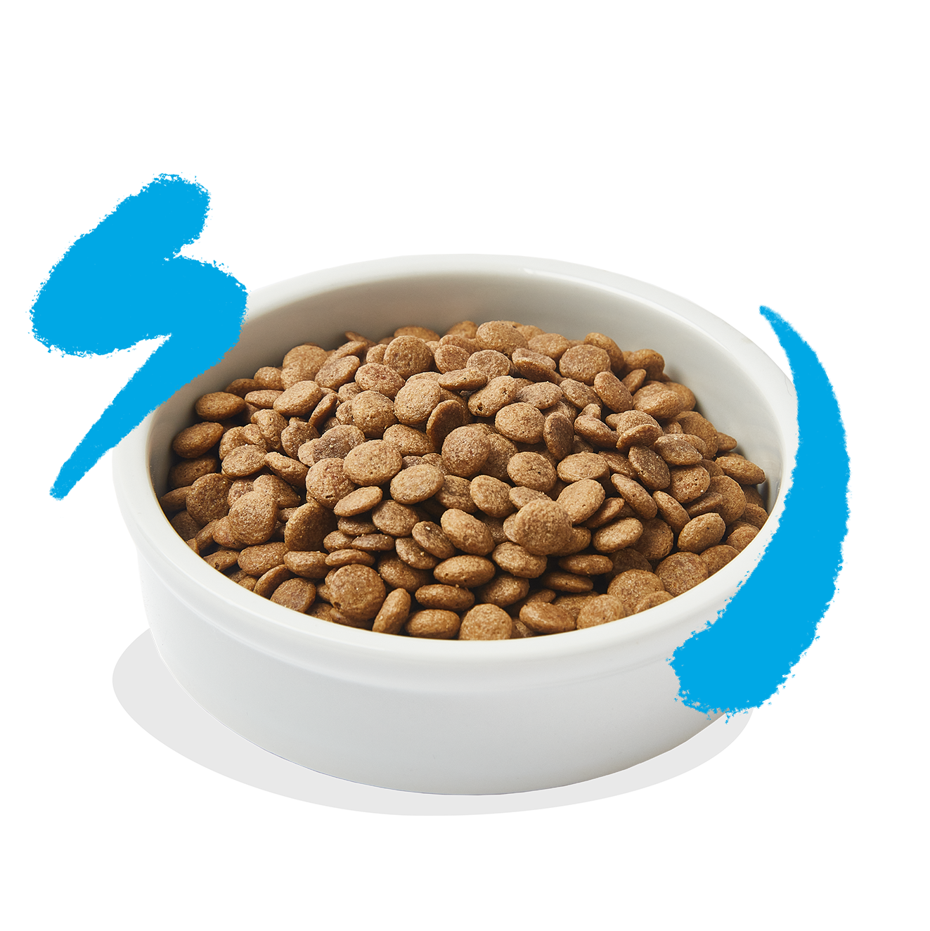 Edgard & Cooper | Pienso de Salmón fresco del Atlántico con arándanos, albahaca y eneldo para Gatos