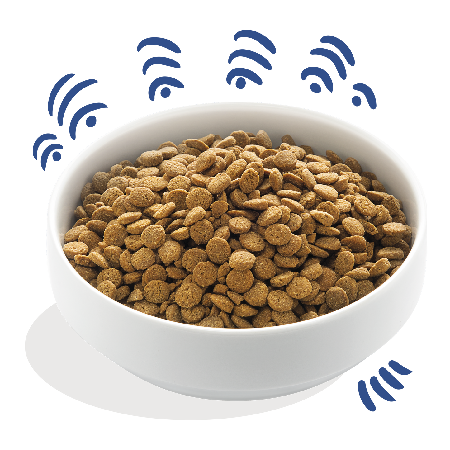 Edgard Cooper - Salmón Noruego - Pienso sin cereales para perros adultos