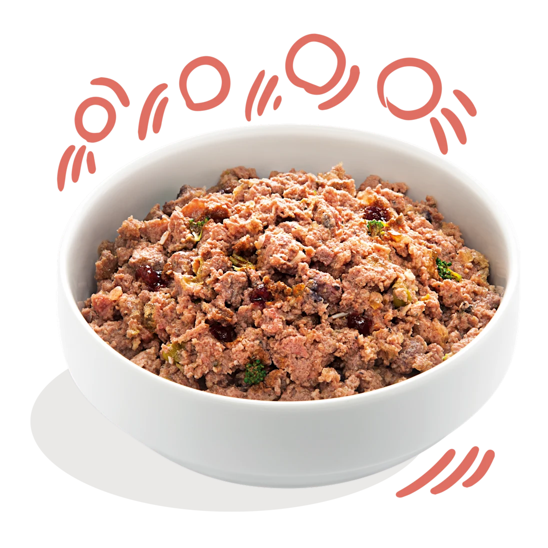 Edgard Cooper | Pollo y Salmón | Lata para Perros Senior 400g