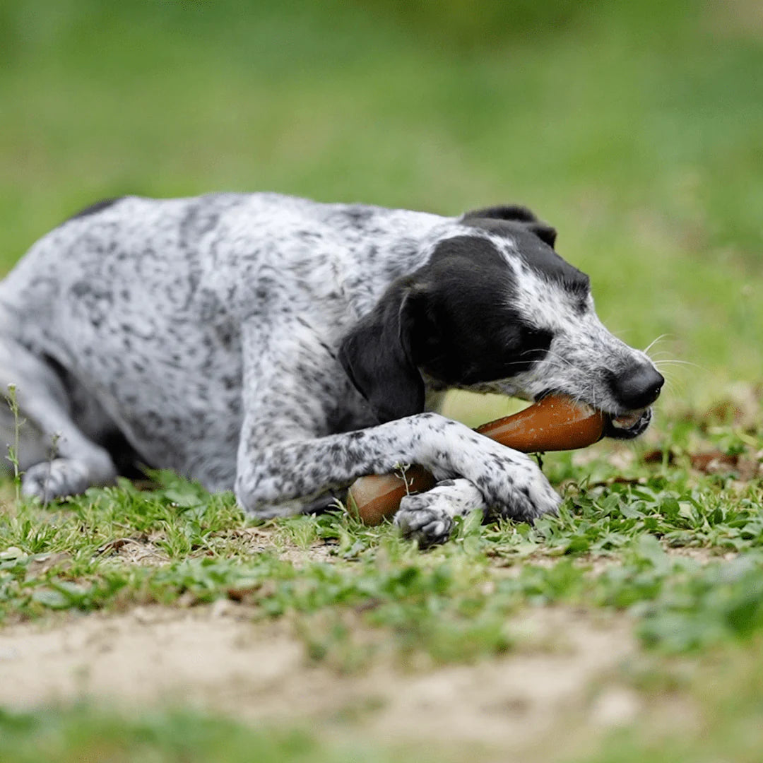 Juguete para Perros - Rub Bone (hueso de resina)