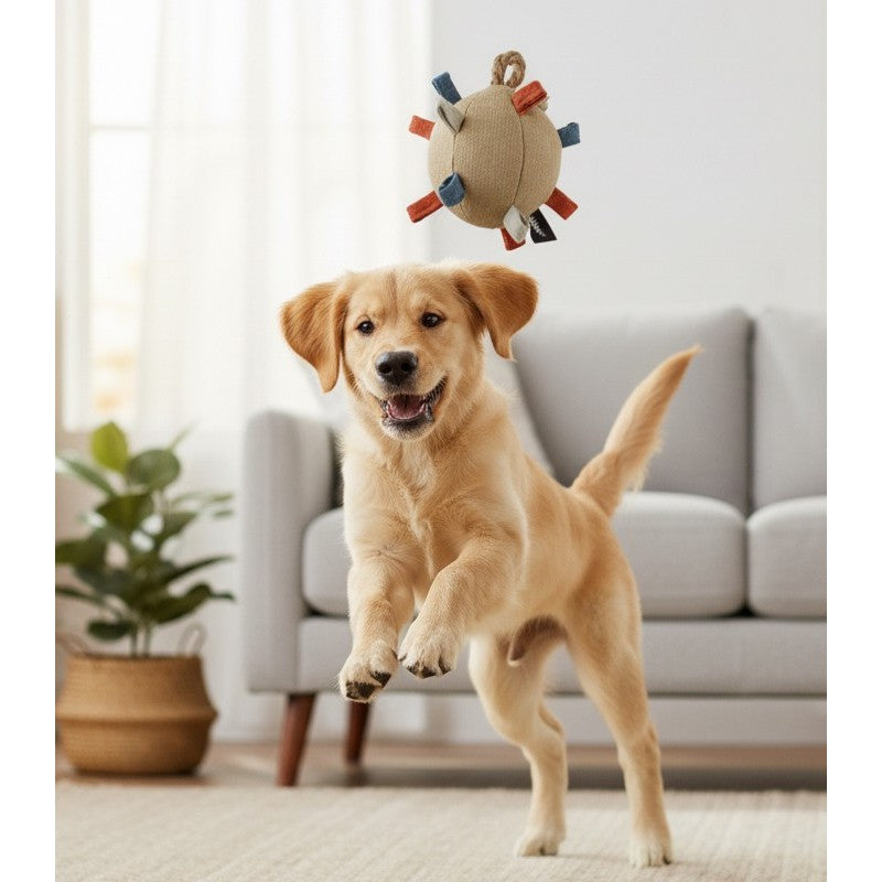 Pelota de tela con salientes para perro