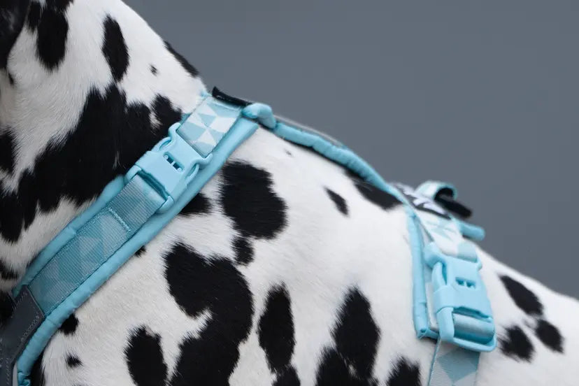 Trekking line harness CLIP'N™ - Non-Stop Dogwear - Por encargo