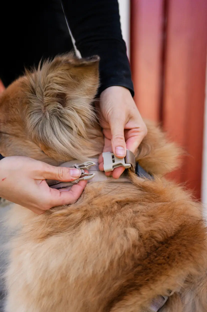 Trekking line harness CLIP'N™ - Non-Stop Dogwear - Por encargo