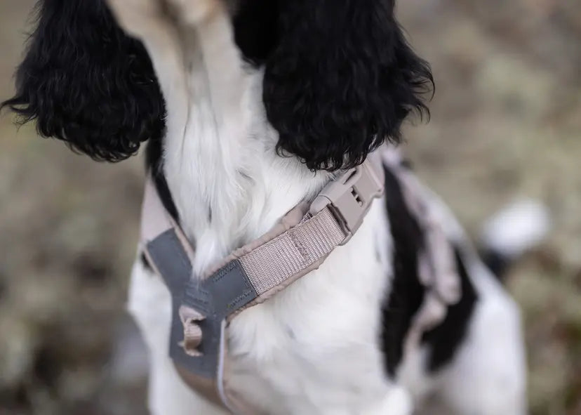 Trekking line harness CLIP'N™ - Non-Stop Dogwear - Por encargo