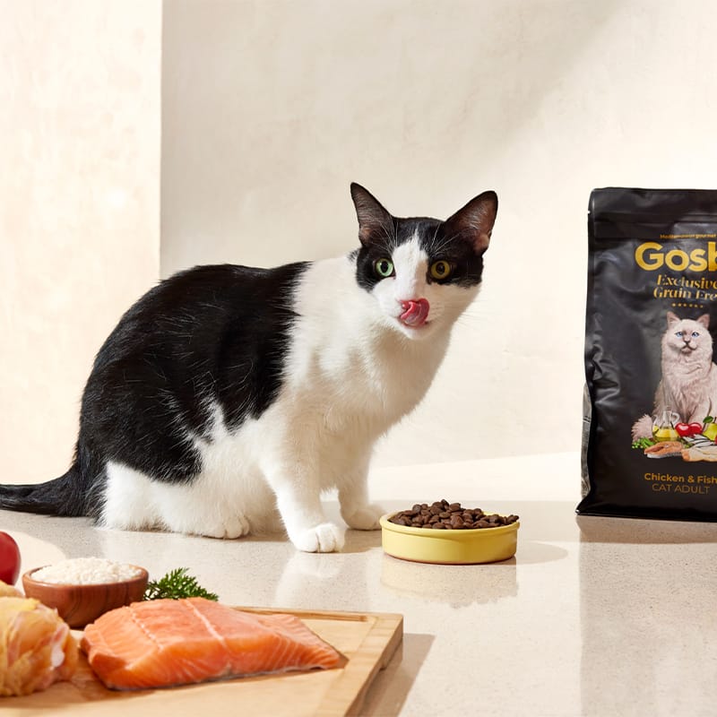 Gosbi | Exclusive Grain Free Cat Adult Chicken with Fish | Pienso para gatos adultos de pollo y pescado