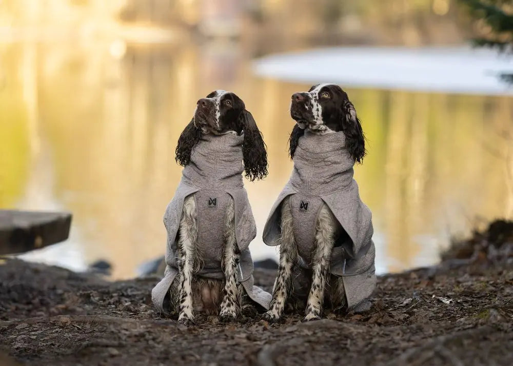 Albornoz Non-Stop Dogwear- Drying coat (Por encargo)