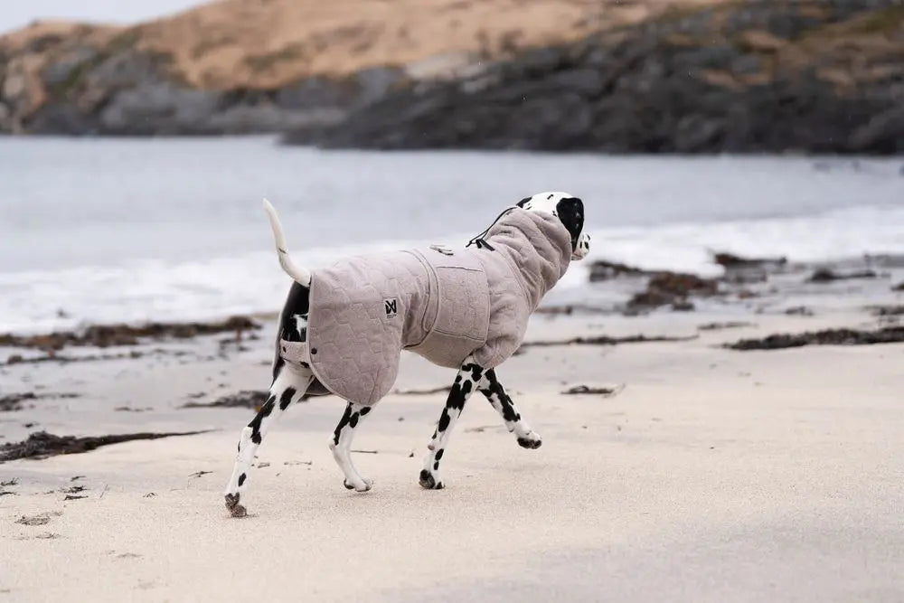 Albornoz Non-Stop Dogwear- Drying coat (Por encargo)