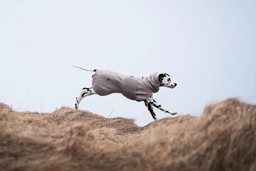 Albornoz Non-Stop Dogwear- Drying coat (Por encargo)