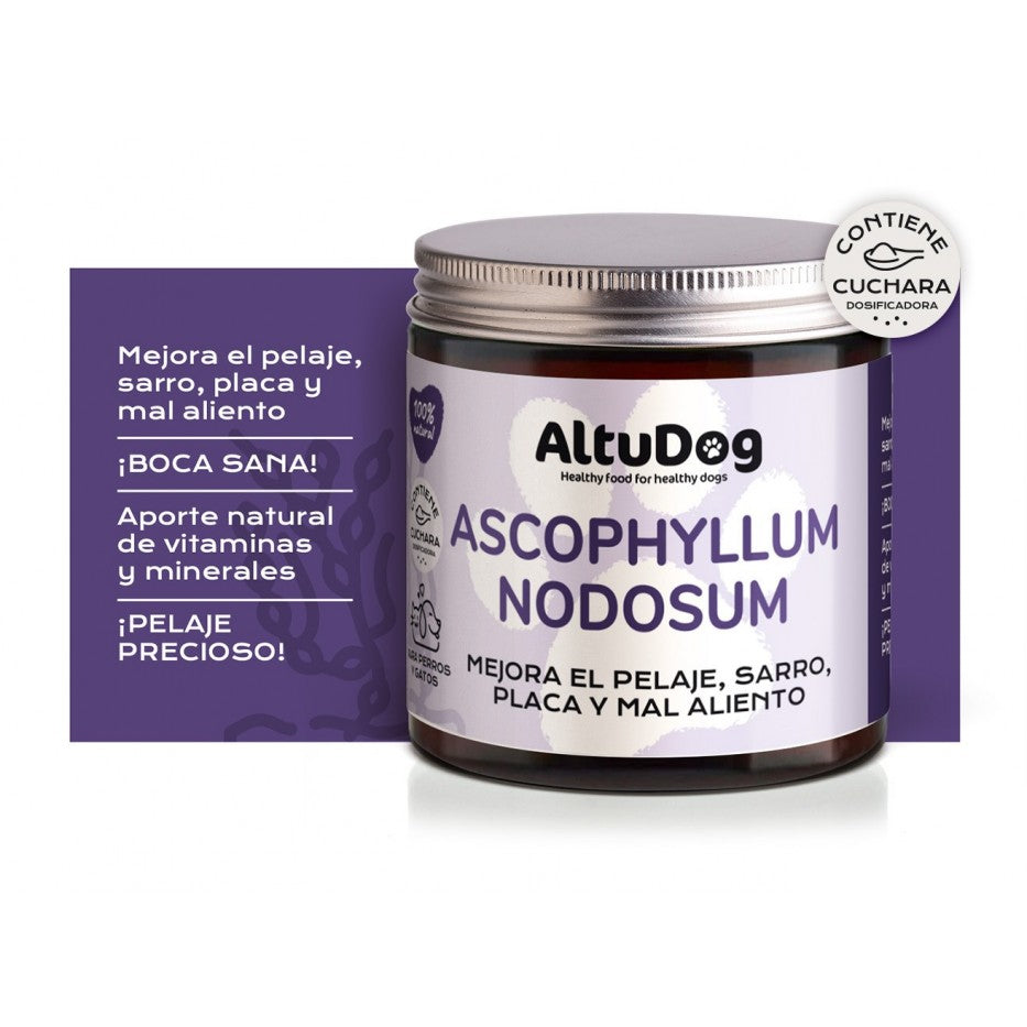 Ascophyllum Nodosum - Algas para eliminar el sarro y el mal aliento - Altudog