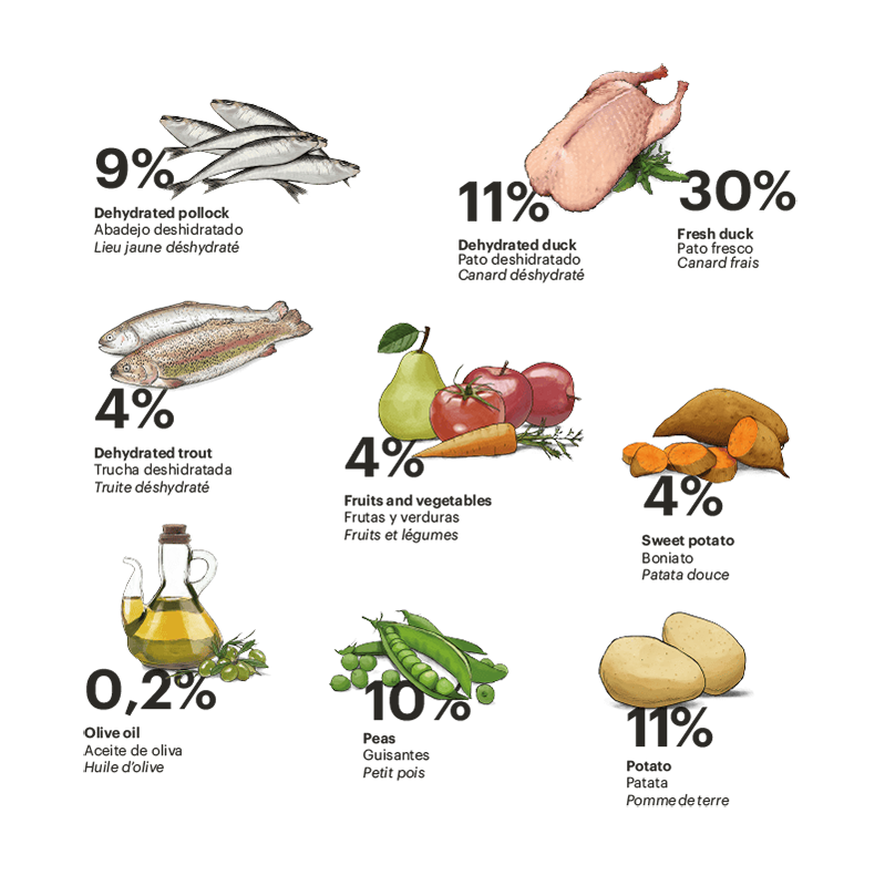 Gosbi | Exclusive Grain Free Cat Sterilized Duck with Fish | Pienso para gatos esterilizados de pato y pescado