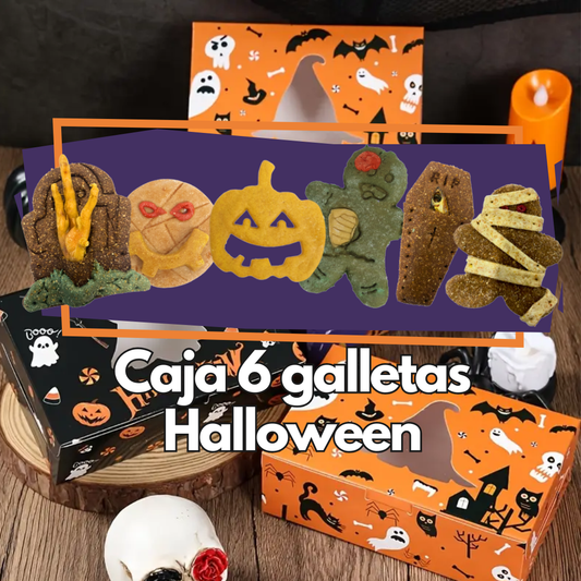 Caja 6 Galletas Halloween
