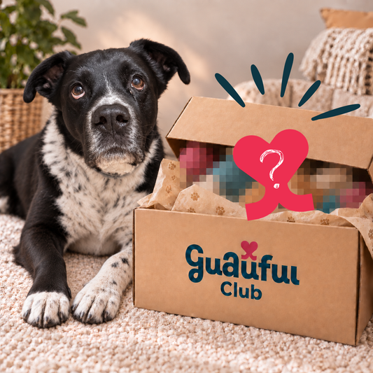 El Club Guauful - Recibe una caja sorpresa cada mes