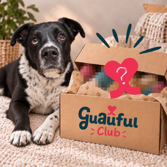El Club Guauful - Recibe una caja sorpresa cada mes