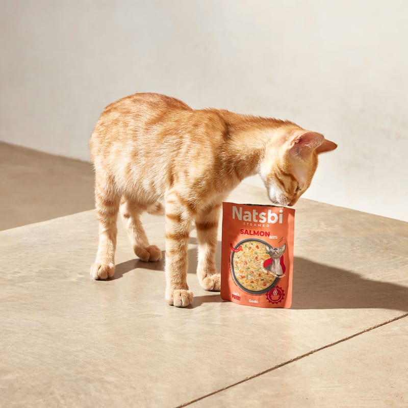 Natsbi Steamed Gravy Cat Salmon | Comida al vapor de Salmón para gatos 80g