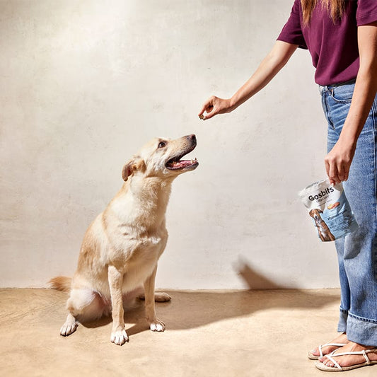 Gosbits Objective Dog Hypoallergenic