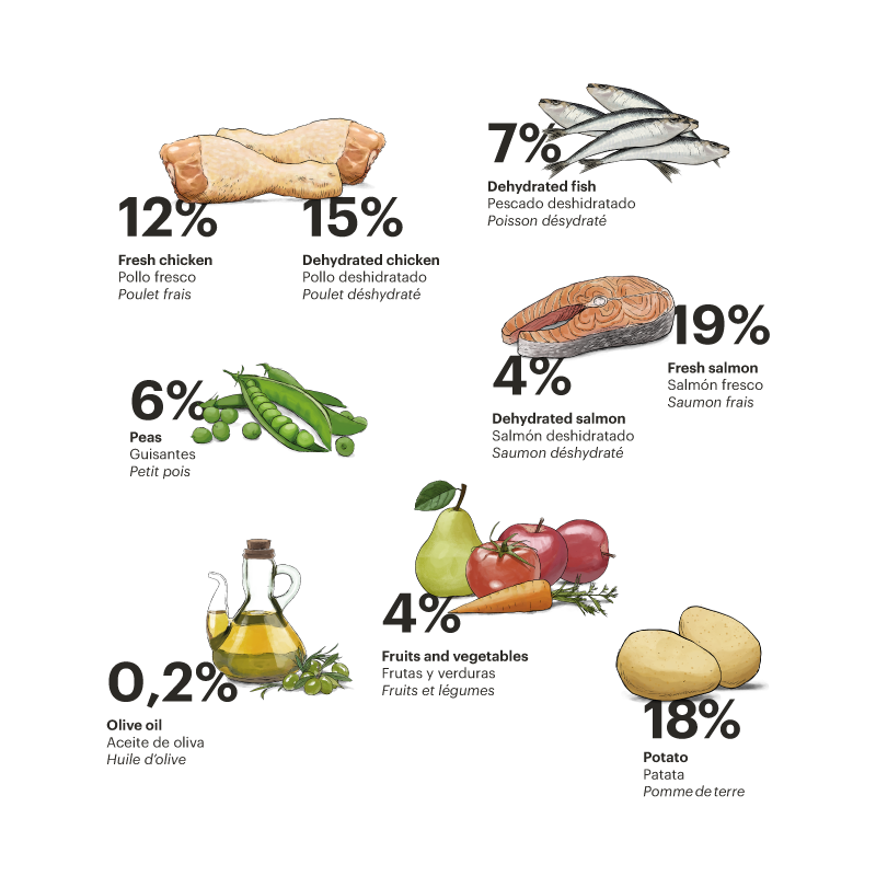 Gosbi | Exclusive Grain Free Cat Adult Chicken with Fish | Pienso para gatos adultos de pollo y pescado
