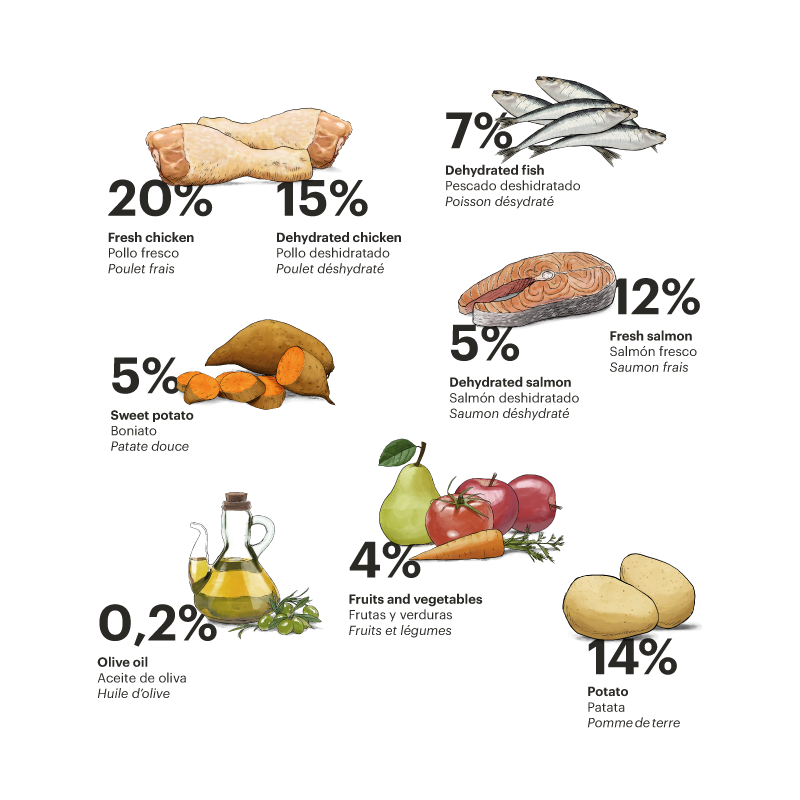 Gosbi | Exclusive Grain Free Cat Kitten Chicken with Fish | Pienso para gatos de pollo y pescado