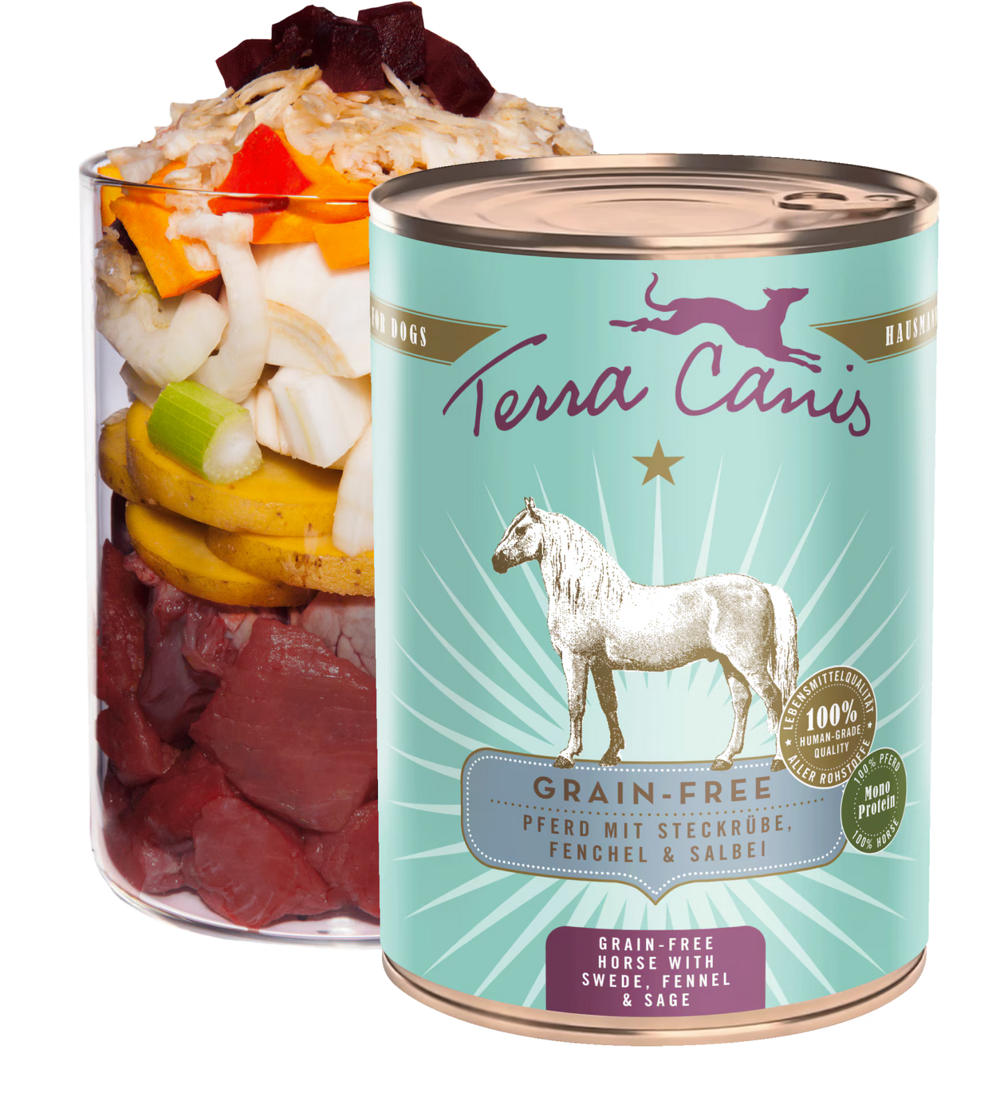 TERRA CANIS GRAIN FREE - Caballo con colinabo, hinojo y salvia, sin cereales