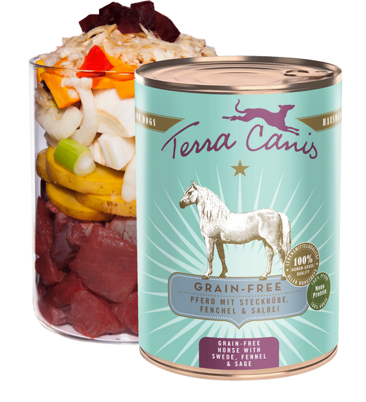 TERRA CANIS GRAIN FREE - Caballo con colinabo, hinojo y salvia, sin cereales