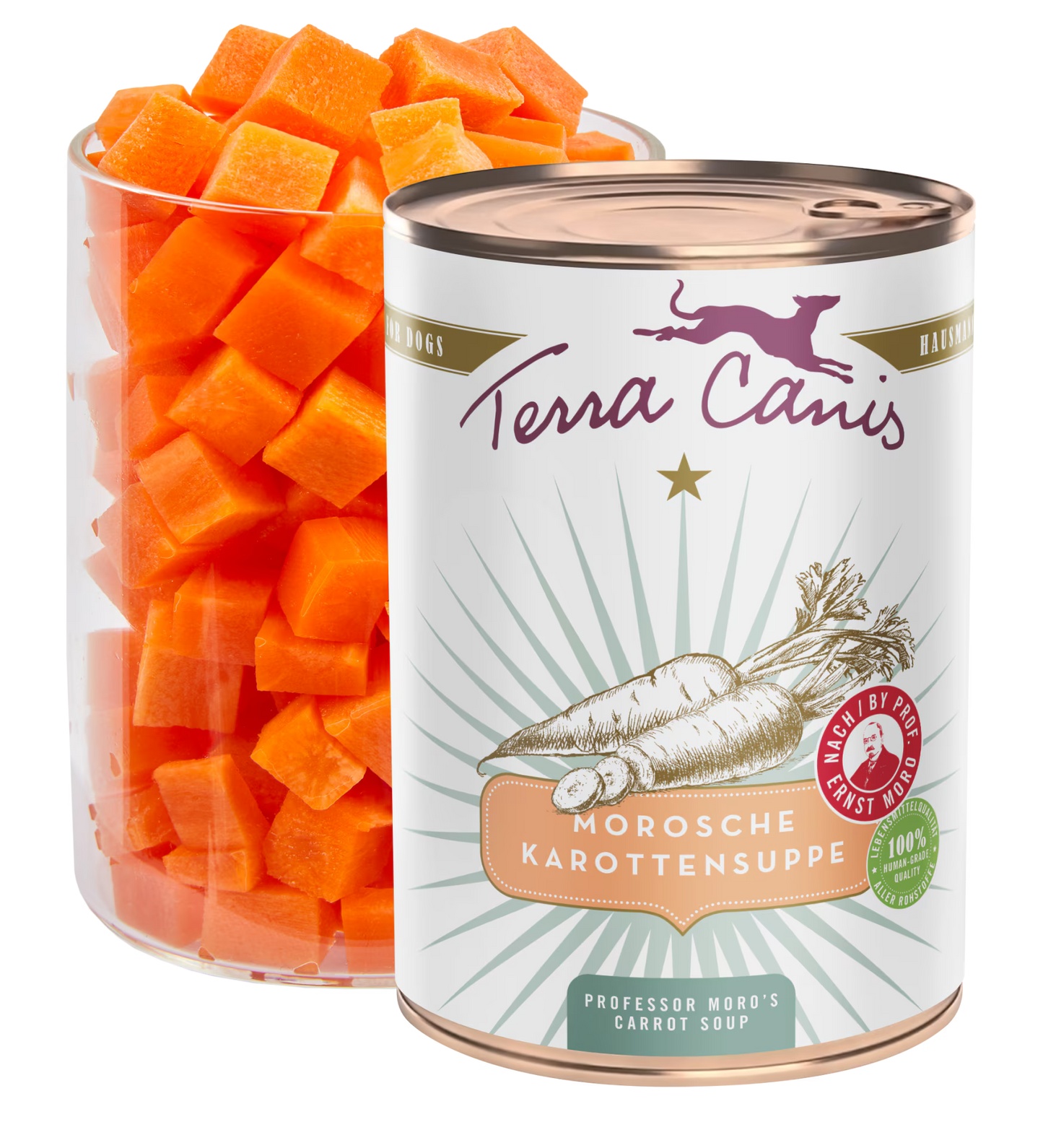 Sopa de zanahoria del Dr. Moro | Terra Canis