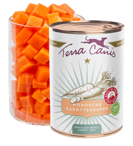 Sopa de zanahoria del Dr. Moro | Terra Canis