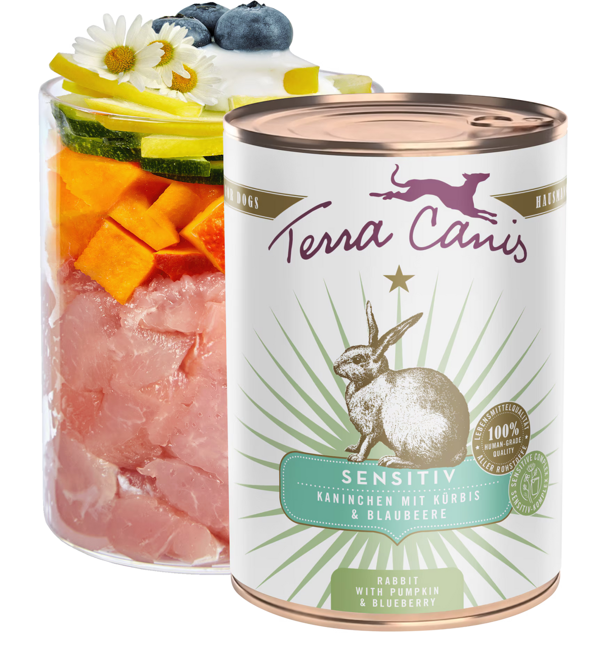 TERRA CANIS Sensitiv - Conejo con calabaza y arándanos