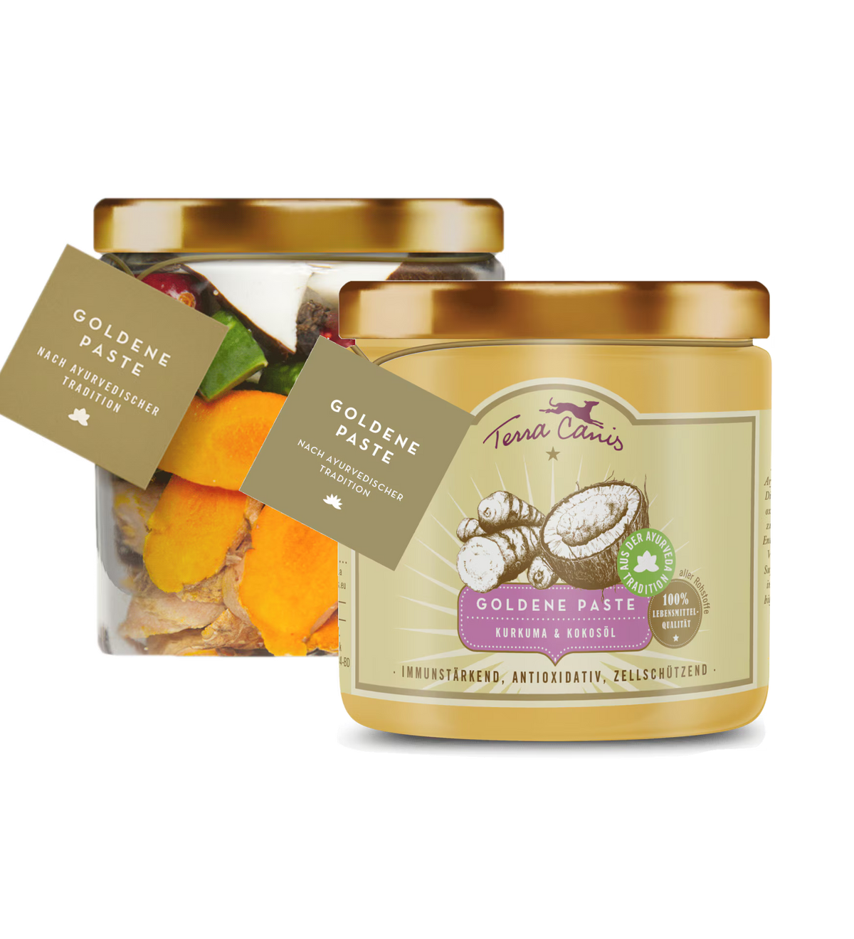 Terra Canis Golden Paste -  Antioxidante y potenciador del sistema inmunitario con cúrcuma