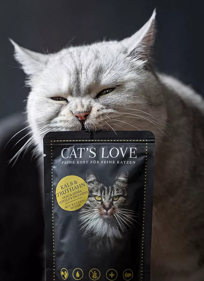 Ternera y Pavo en Paté para Gato | Cat's Love