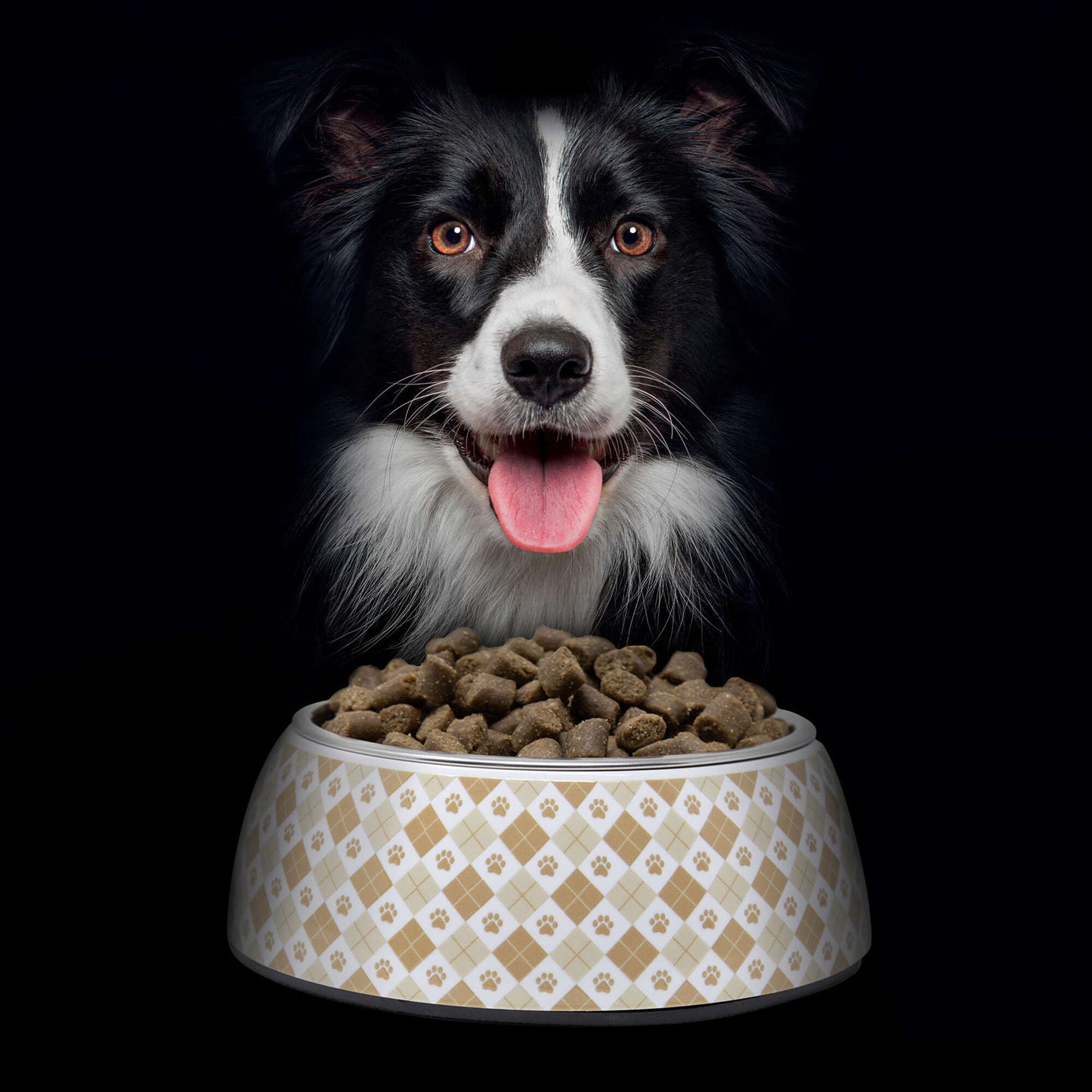 NutraDog WILD - Pienso semihúmedo para adultos - 75% pollo y pescado