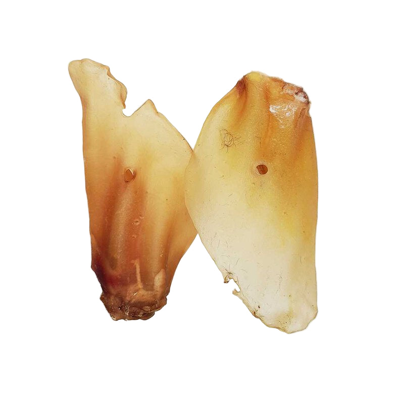 Oreja de ternera