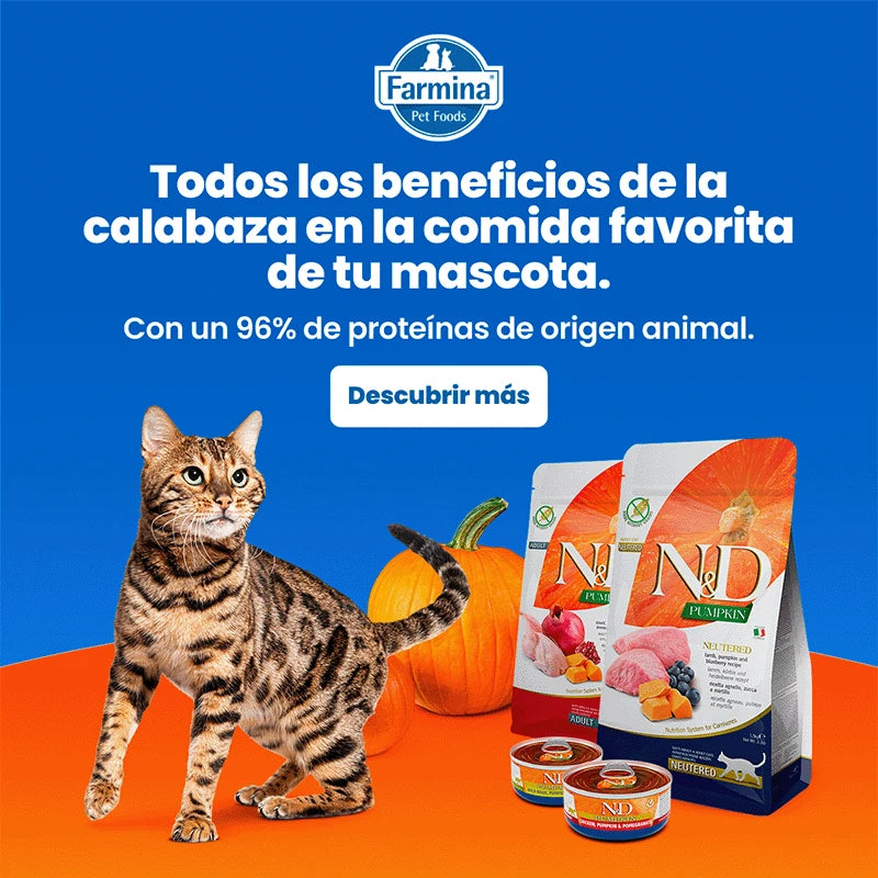 Lata De Jabalí, Calabaza y Manzana Para Gatos | Farmina N&D Pumpkin