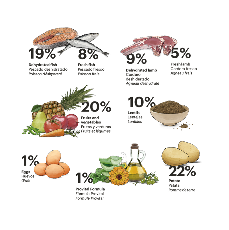 Gosbi | Exclusive Grain Free Dog Puppy Medium Fish with Lamb