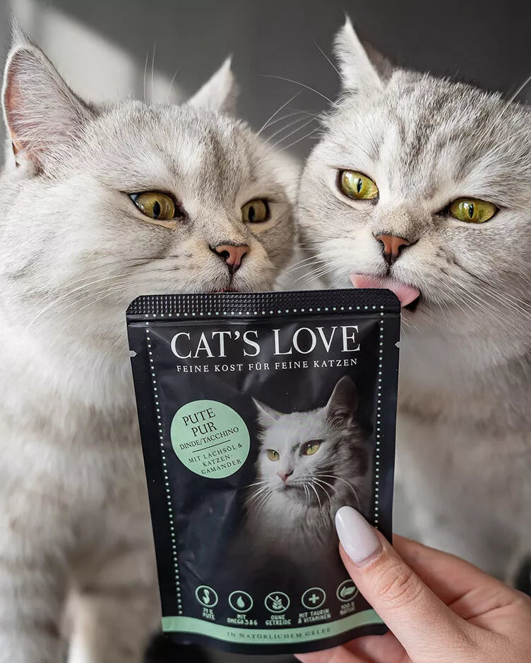 Puro Pavo en Paté para Gato Monoproteico | Cat's Love