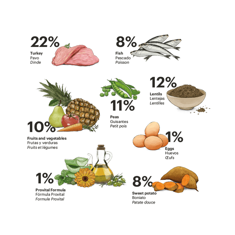 Gosbi | Exclusive Grain Free Dog Adult Senior Medium with Turkey (Pavo)
