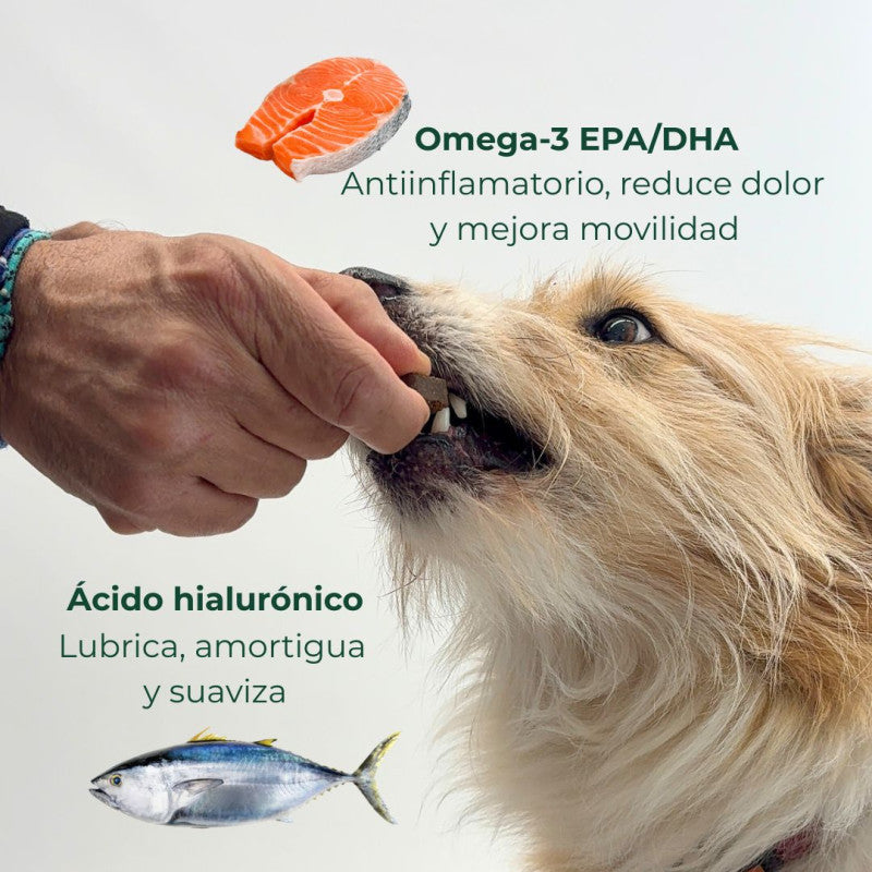 Ortocanis | Suplemento nutricional para las articulaciones del perro | Bote 110 chews
