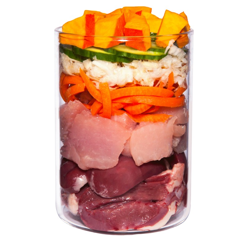 TERRA CANIS GRAIN FREE - Turkey with celery, pumpkin and carrot, grain free